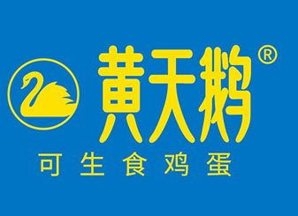 sunbet申搏 4c7eb